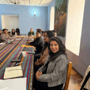 Captura de pantalla 2025-11-27 110254